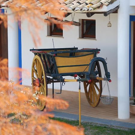Quinta Do Rio Country Inn Silves Buitenkant foto