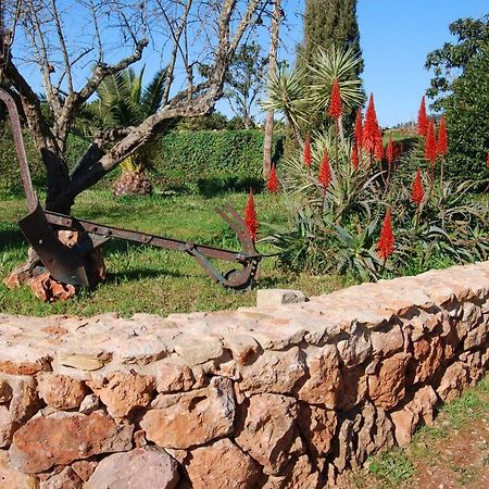 Quinta Do Rio Country Inn Silves Buitenkant foto