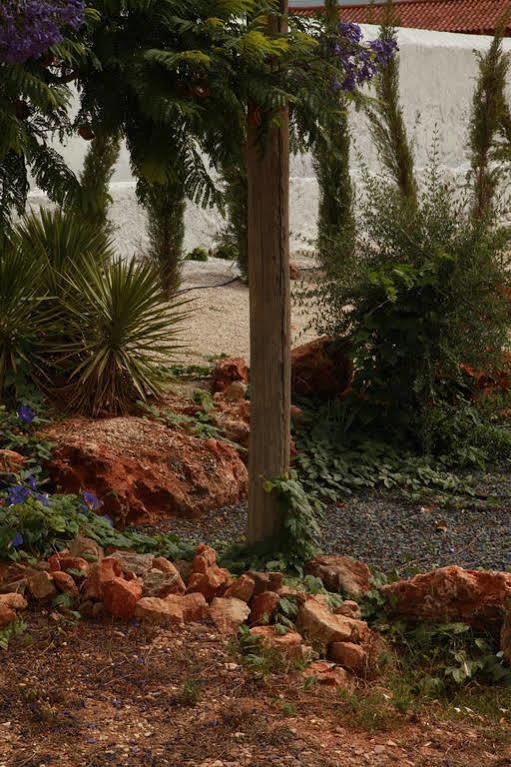 Quinta Do Rio Country Inn Silves Buitenkant foto